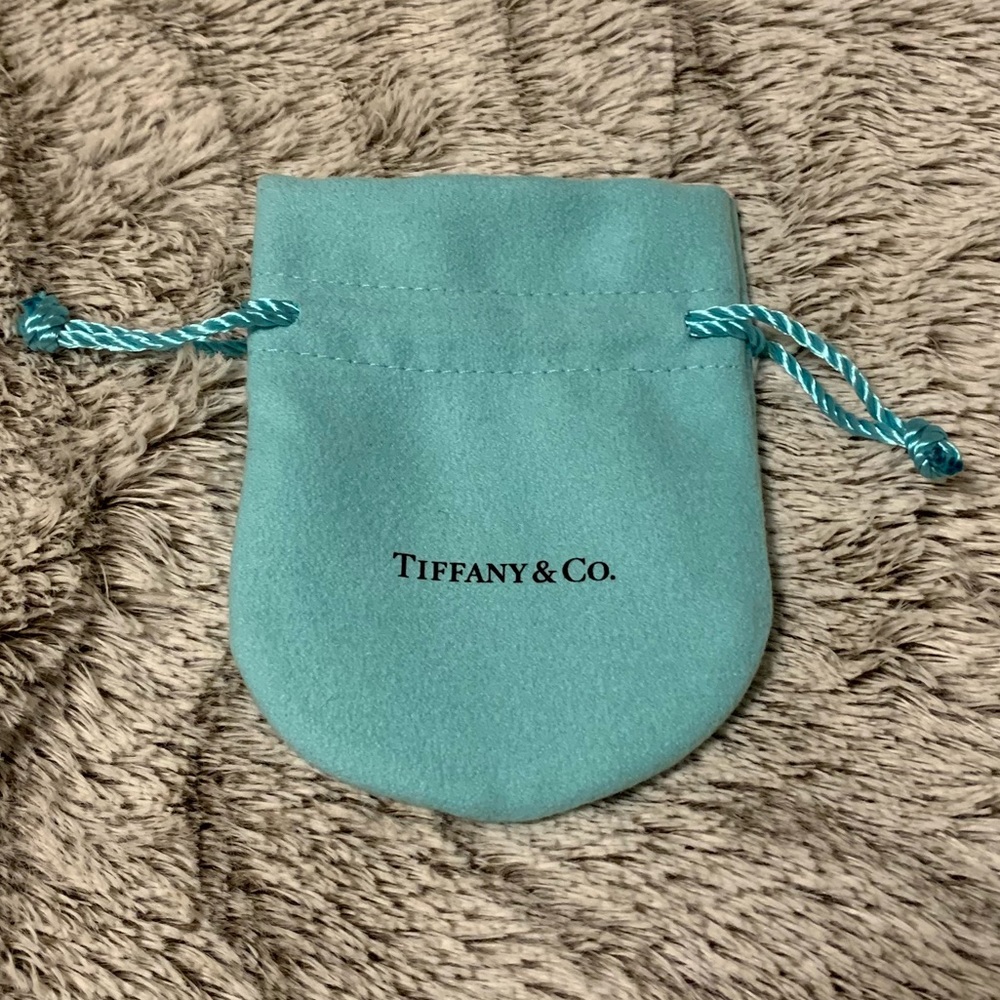 Authentic Small Tiffany & Co pouch.